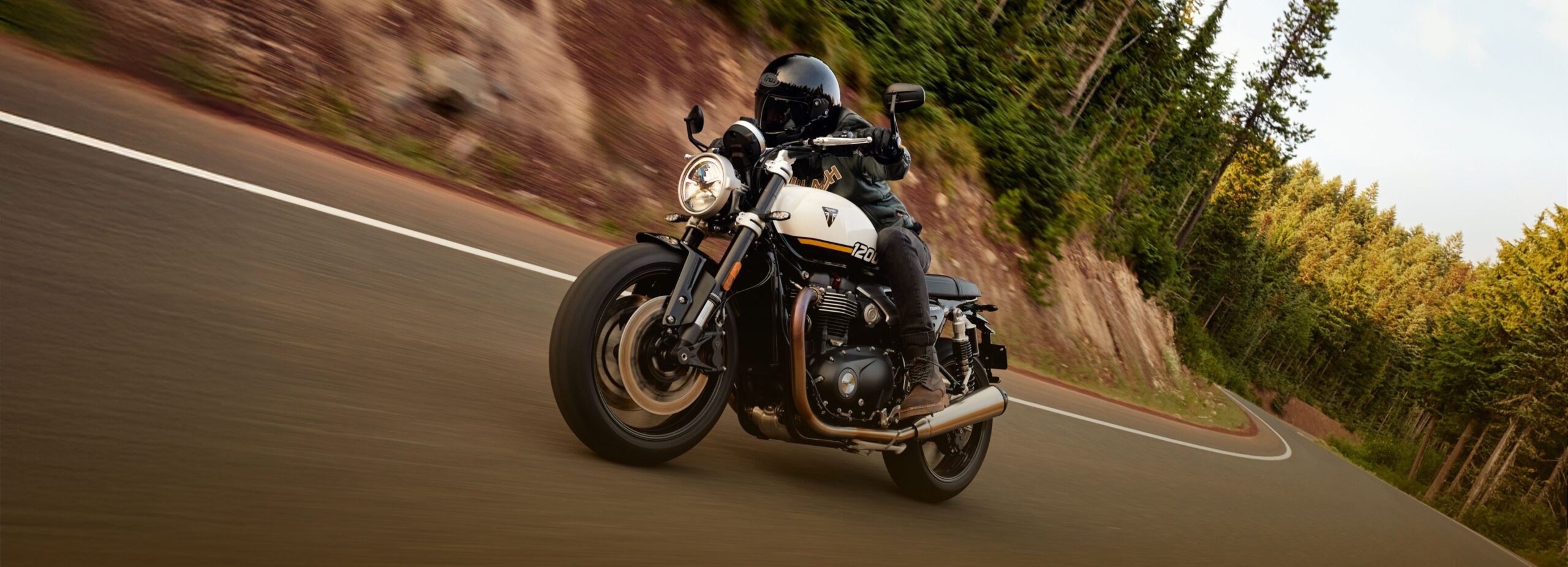 Triumph-Banner
